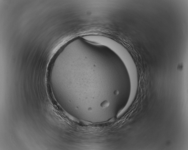 X0000116010292200912101348