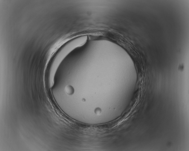 X0000116010294200912101348