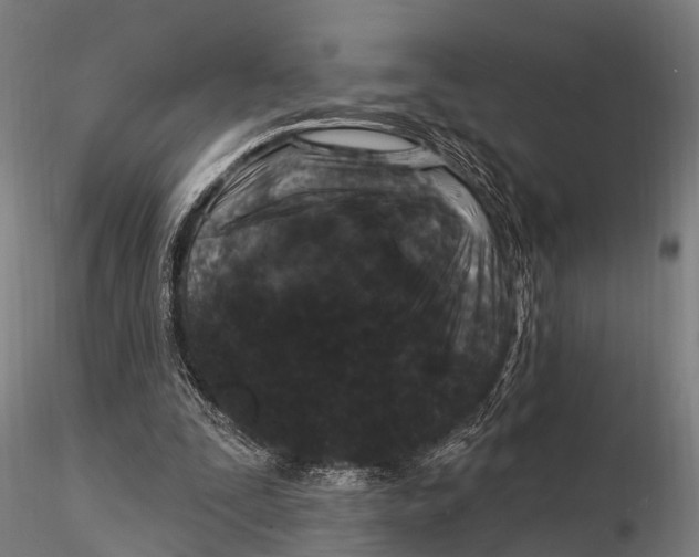 X0000116010295200912101348