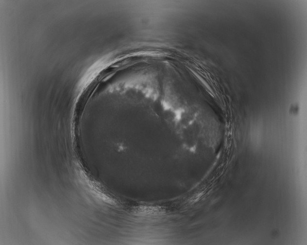 X0000116010296200912101348