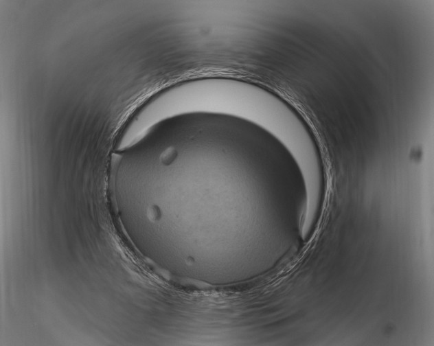 X0000116010297200912101348