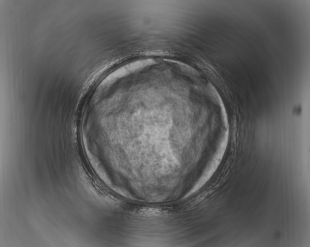 X0000116010298200912101348