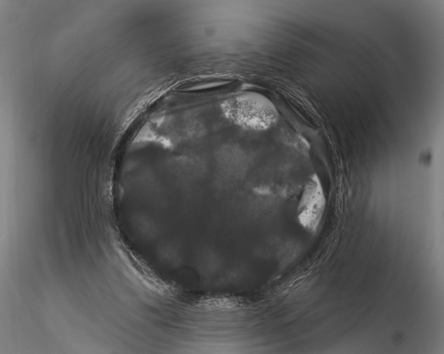 X0000116010299200912101348