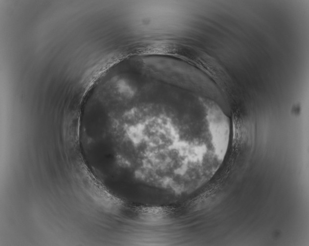 X0000116010301200912101348