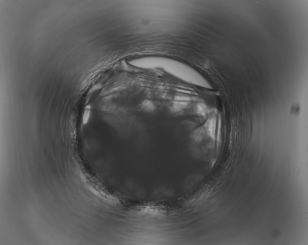 X0000116010303200912101348