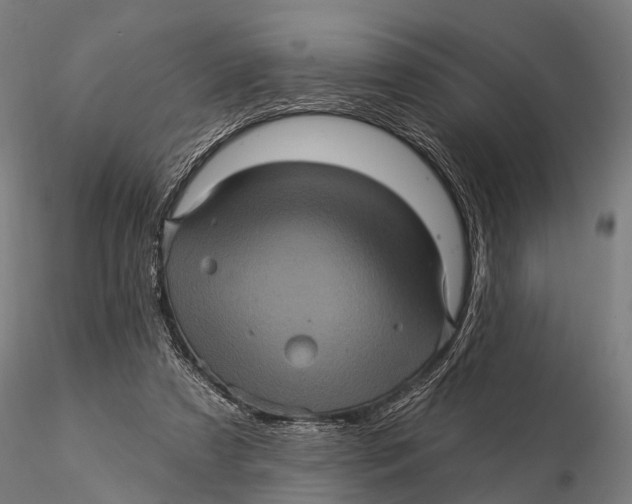 X0000116010305200912101348