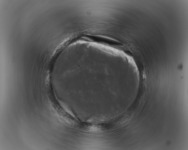 X0000116010308200912101347