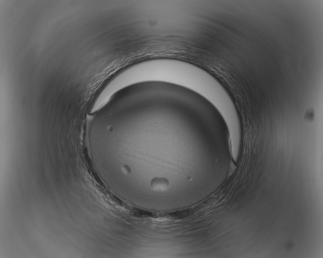 X0000116010309200912101347