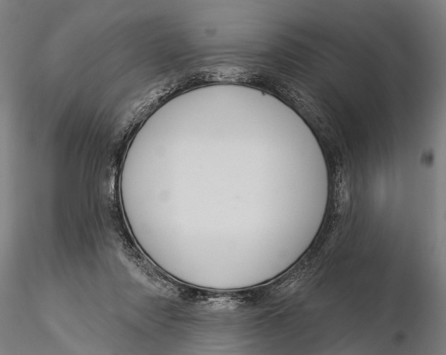 X0000116010310200912101347