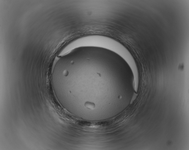 X0000116010312200912101347