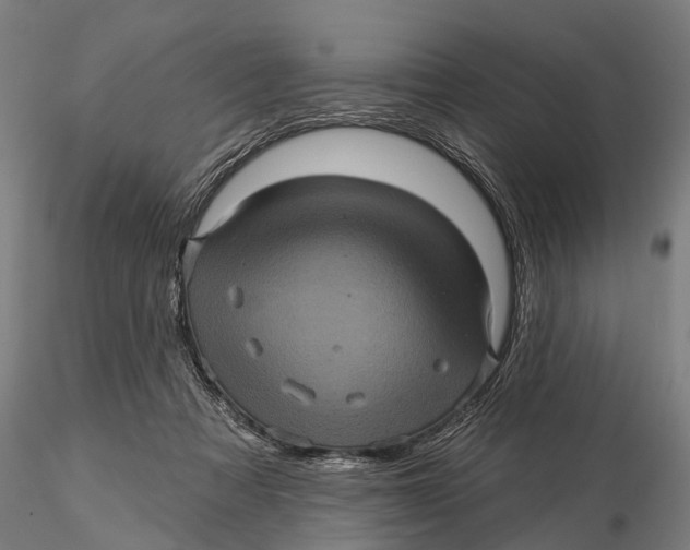 X0000116010313200912101347