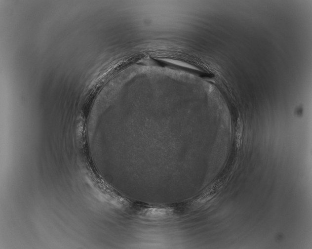 X0000116010314200912101347