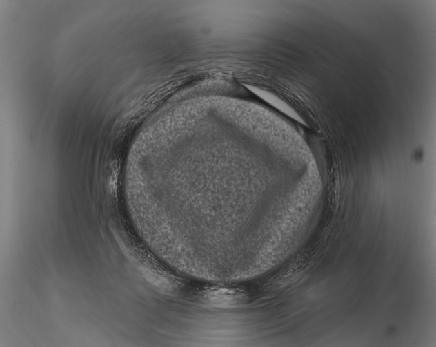 X0000116010315200912101347