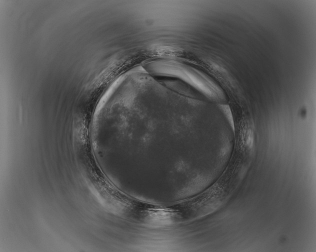 X0000116010316200912101347