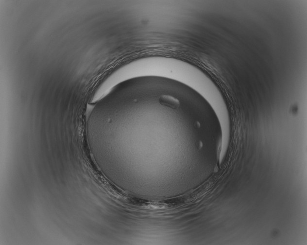 X0000116010317200912101347