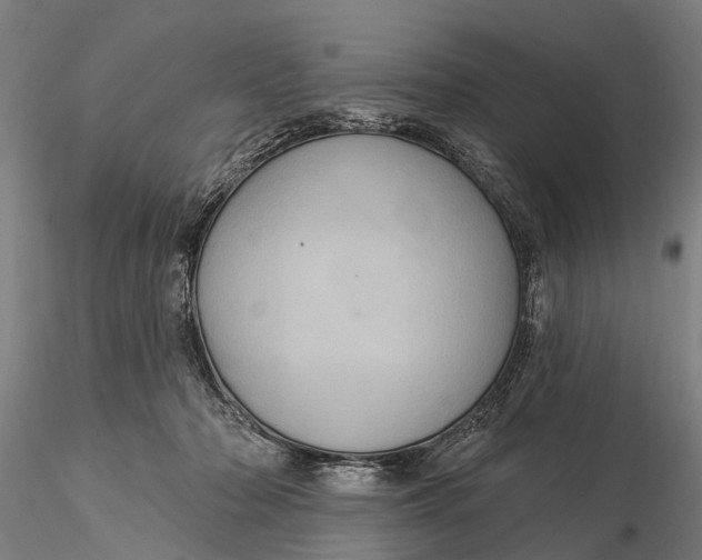 X0000116010318200912101347