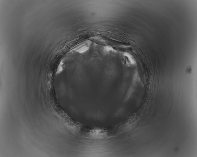 X0000116010319200912101347