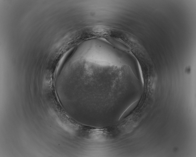 X0000116010320200912101347