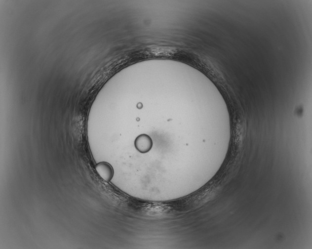 X0000116010321200912101347