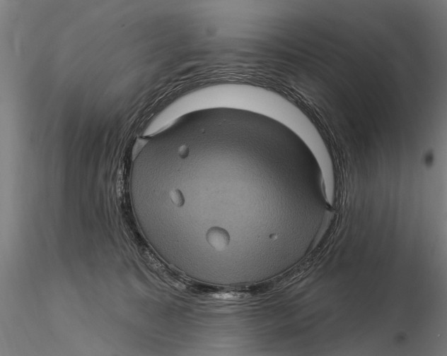 X0000116010323200912101347