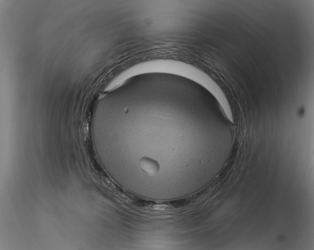 X0000116010324200912101347