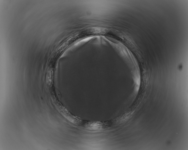 X0000116010325200912101347