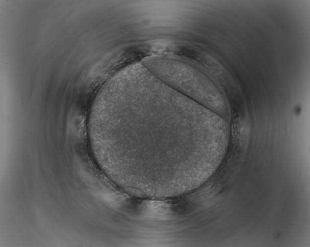 X0000116010327200912101347