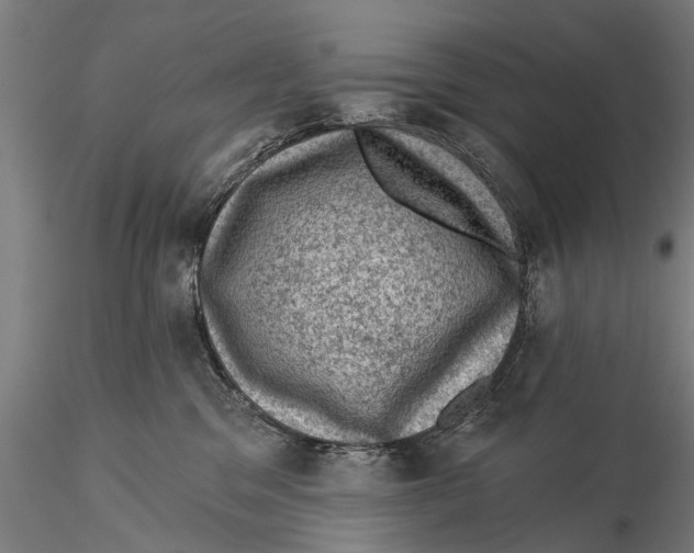 X0000116010329200912101347