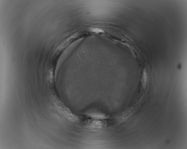 X0000116010330200912101347