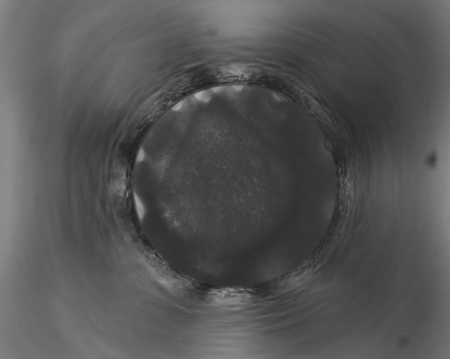 X0000116010331200912101347