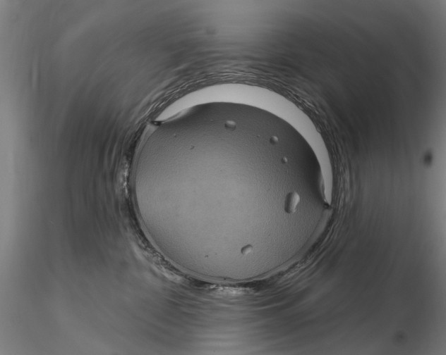 X0000116010332200912101347