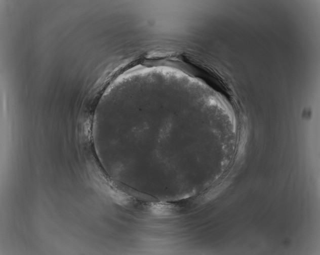 X0000116010336200912101347