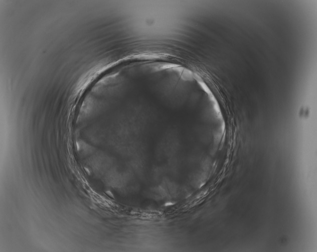 X0000116010337200912101346