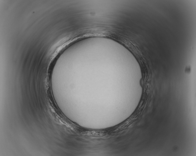 X0000116010338200912101346