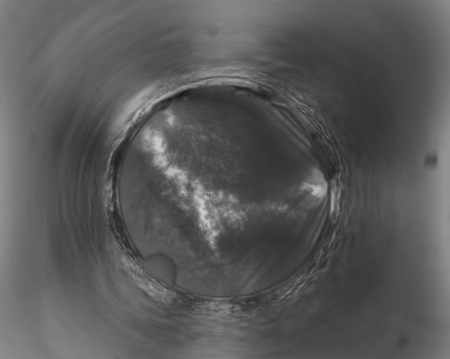 X0000116010339200912101346