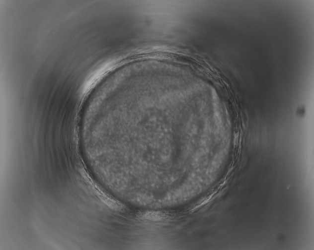 X0000116010341200912101346