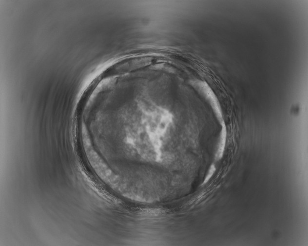 X0000116010342200912101346