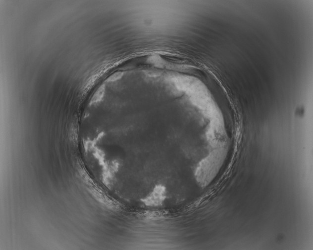 X0000116010345200912101346