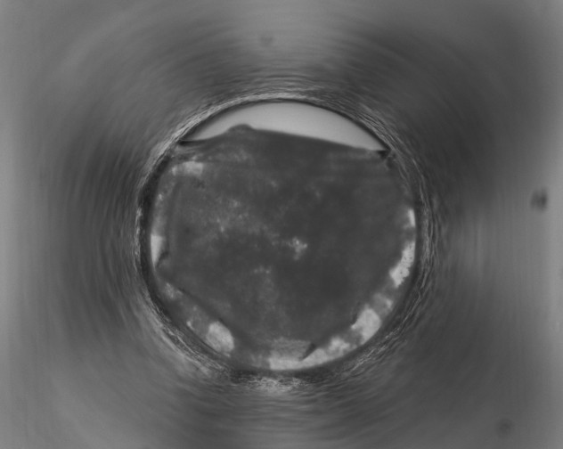 X0000116010346200912101346