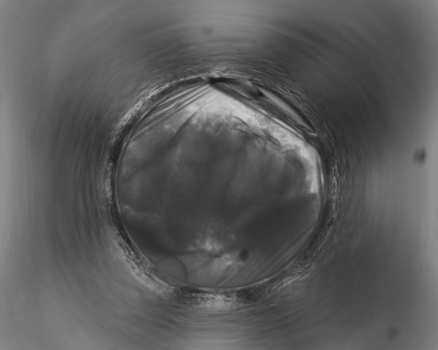 X0000116010347200912101346