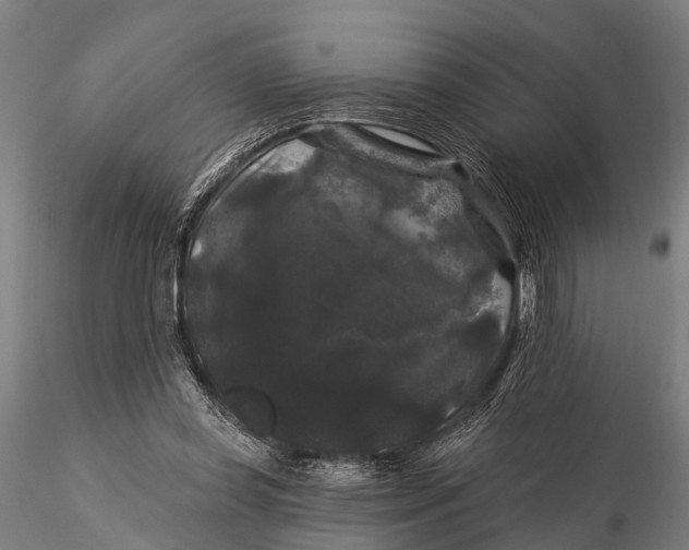 X0000116010349200912101347