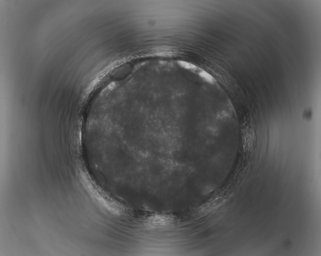 X0000116010350200912101347