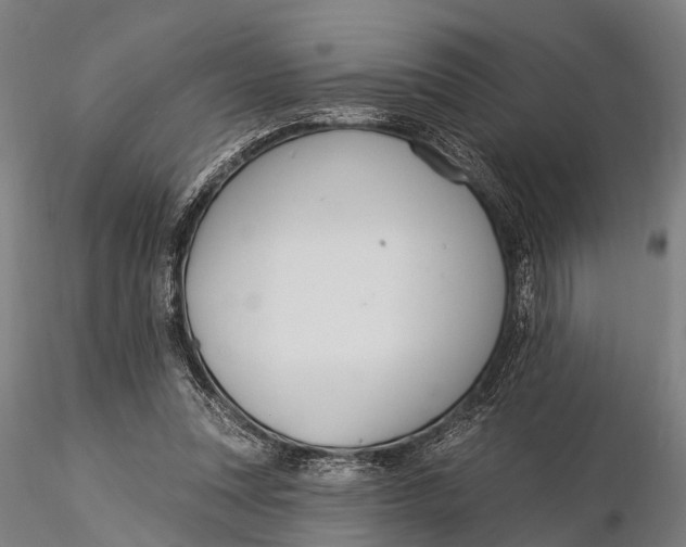 X0000116010351200912101347