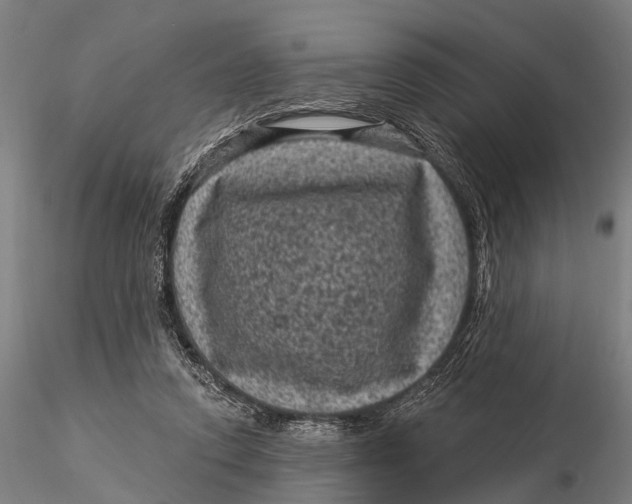 X0000116010354200912101347