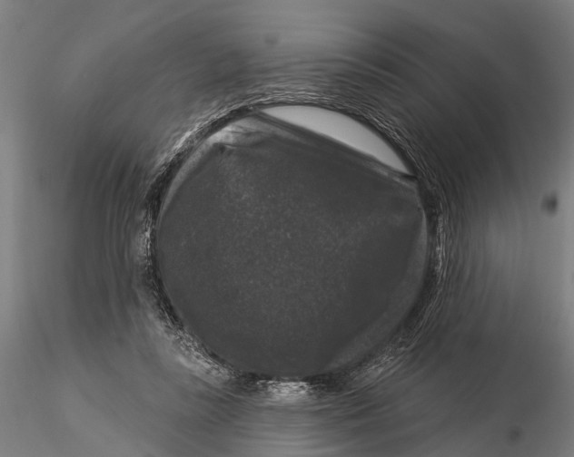 X0000116010355200912101347