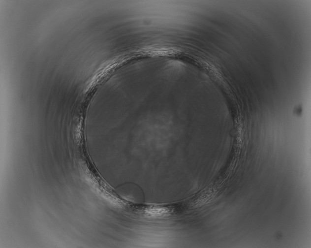 X0000116010357200912101347