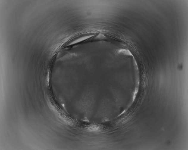 X0000116010358200912101347