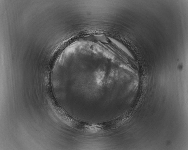 X0000116010359200912101347