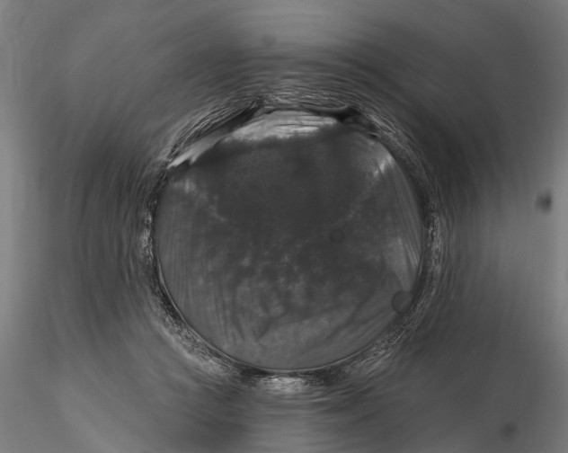 X0000116010361200912101347