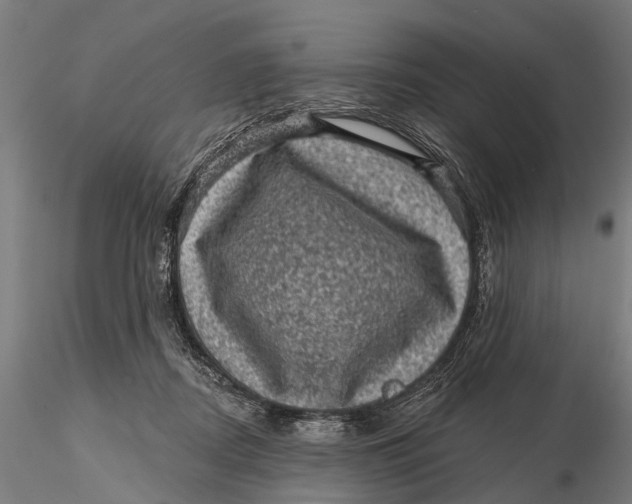 X0000116010362200912101347